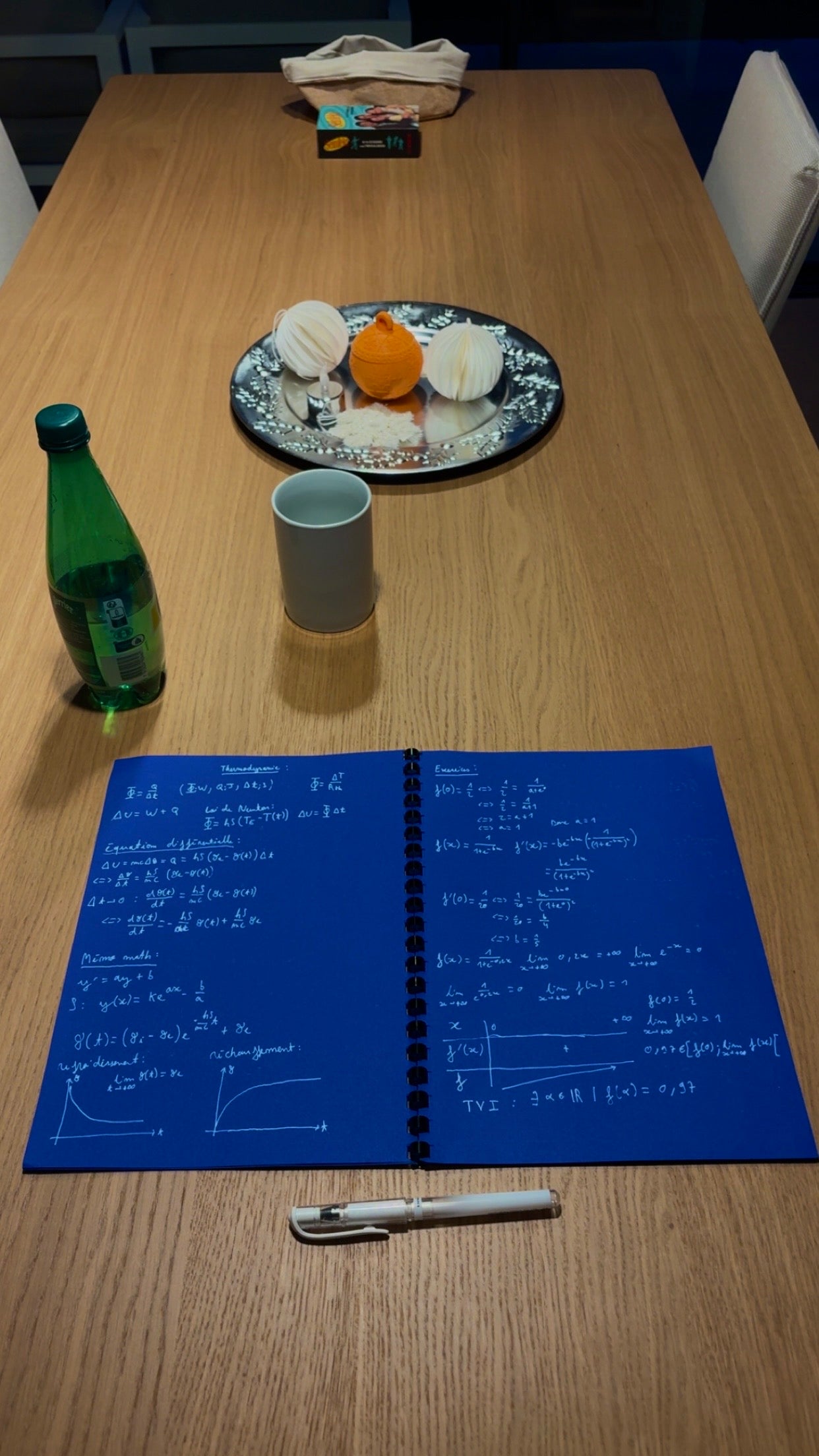 Cahier Blueprint, stylo à gel blanc inclus